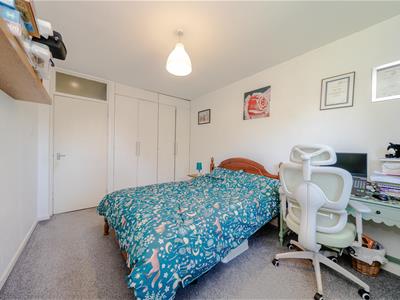 Picture 13